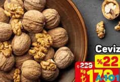 CEVİZ KG CEVİZ KG